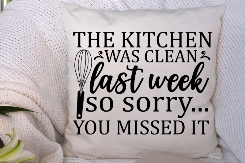 sd0008-14-the-kitchen-was-clean-last-week-so-sorry-you-missed-it