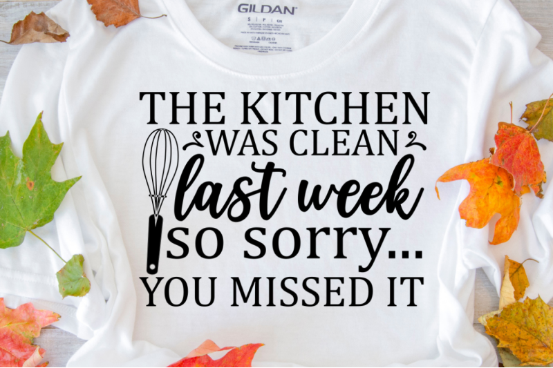 sd0008-14-the-kitchen-was-clean-last-week-so-sorry-you-missed-it