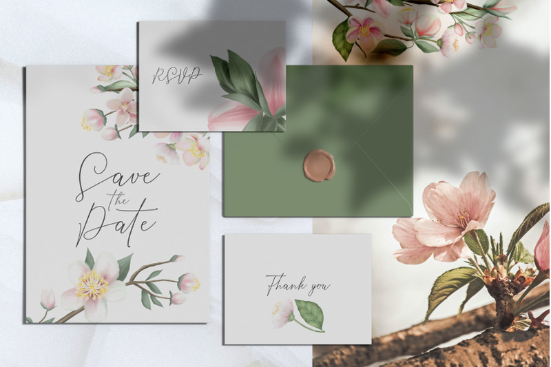 apple-blossom-spring-clipart