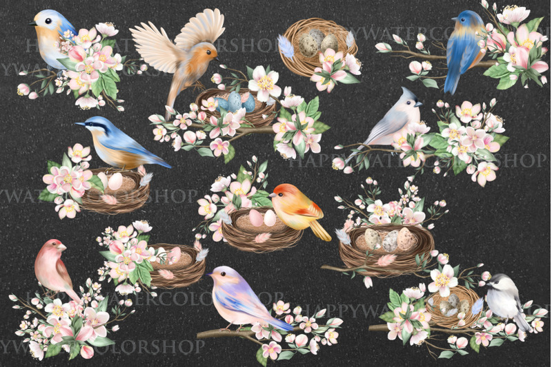 spring-birds-and-flowers