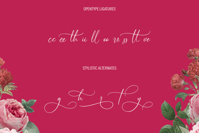 holystails-beauty-script-font