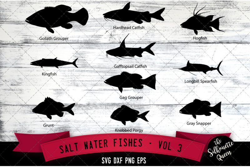 salt-water-fishes-svg-v3-goliath-grouper-kingfish-grunt