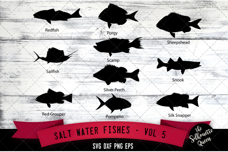 salt-water-fishes-svg-v5-redfish-sailfish-red-grouper-porgy