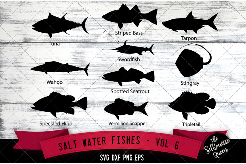 salt-water-fishes-svg-v6-tuna-wahoo-speckled-hind-striped-bass