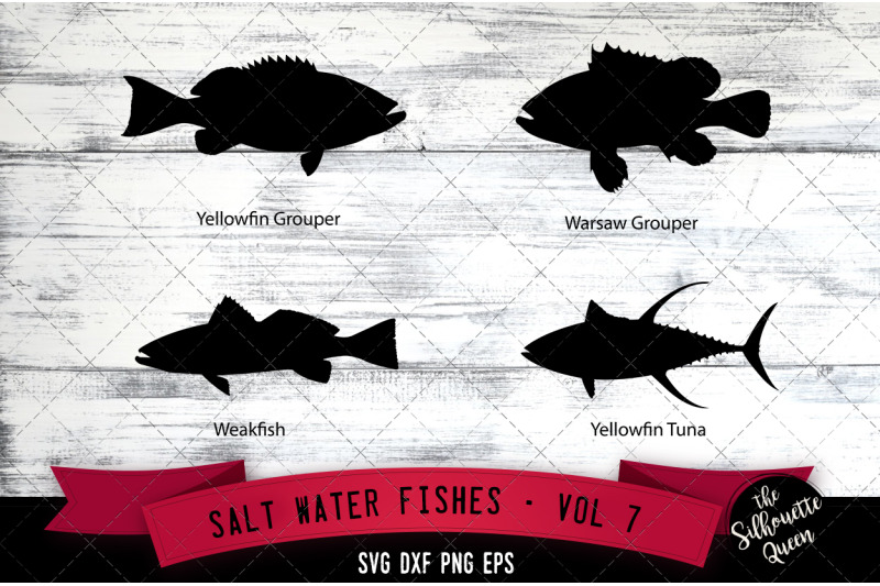 salt-water-fishes-svg-v7-yellowfin-grouper-warsaw-grouper