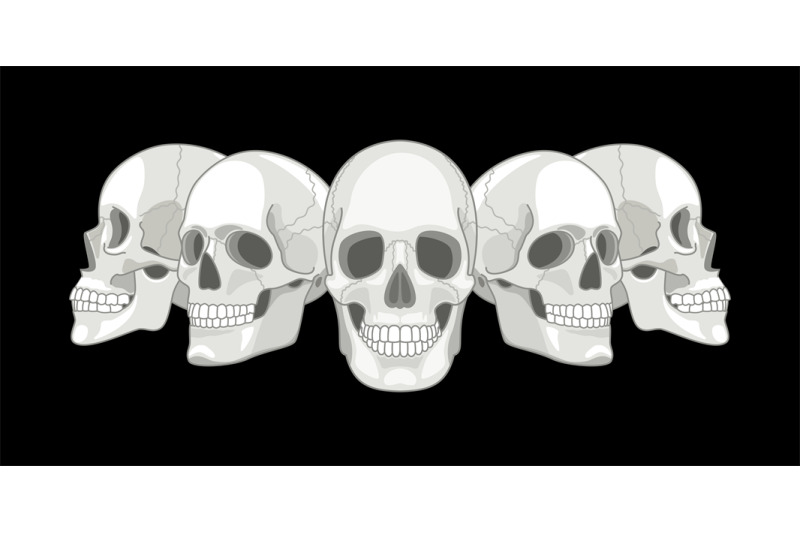 human-skull-sides