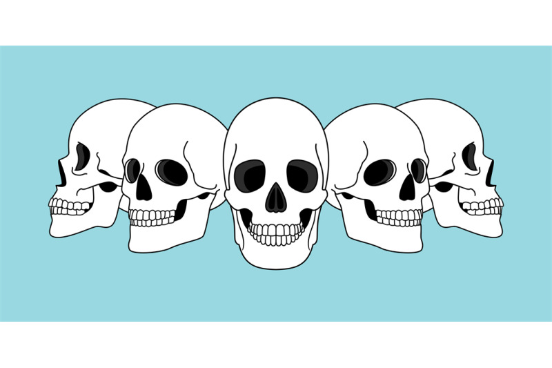 skulls-views-funny-horror-spooky-skull-front-and-side-view-illustrati