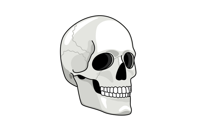 simple-skull-smiling-skulls-vector-illustration-for-pirates-darkness