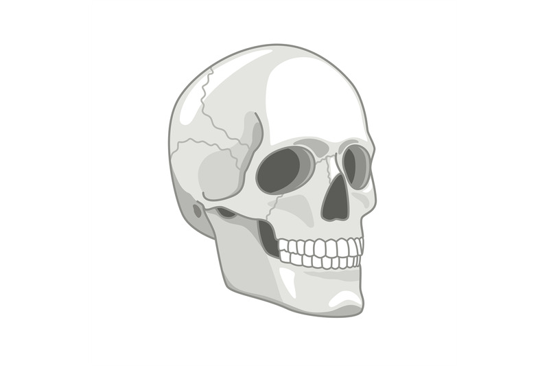 cartoon-skull-drawn-cute-gray-skulls-face-concept-vector-illustration