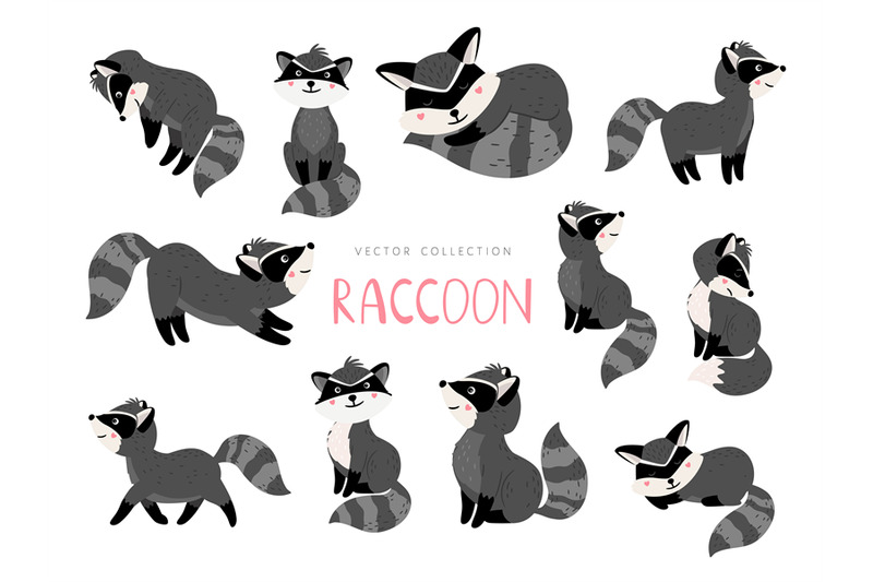cartoon-racoon-raccoon-character-poses-isolated-on-white-background