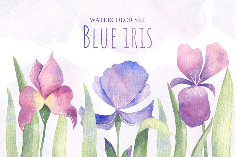 blue-iris-watercolor-set-jpeg-and-png-format