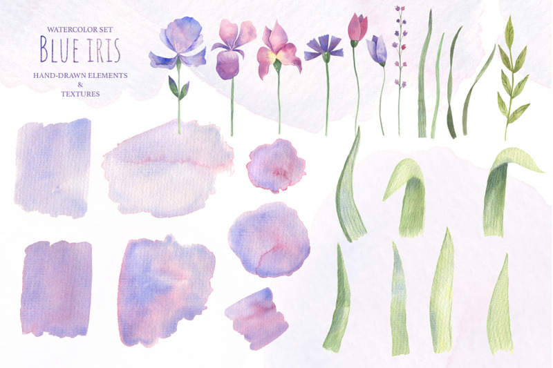 blue-iris-watercolor-set-jpeg-and-png-format