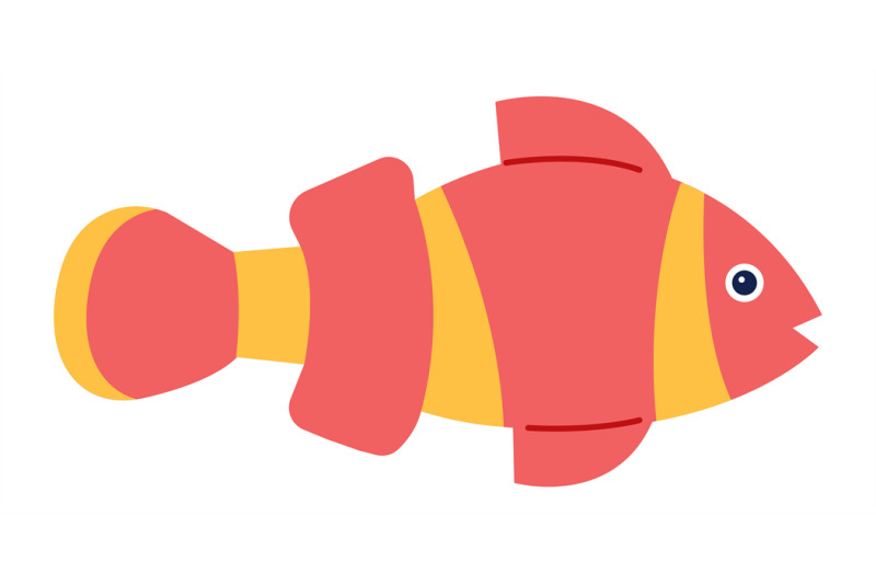 clown-fish-with-colored-pattern-isolated-on-white