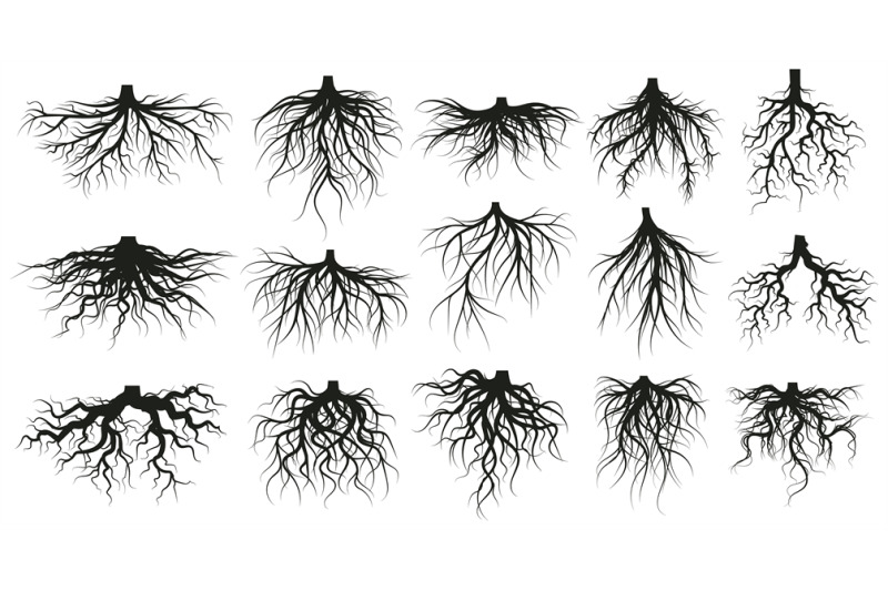 tree-root-system-underground-growing-plants-stems-branched-roots-bo