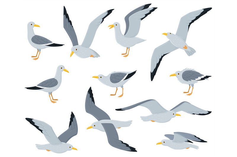 cartoon-seagull-birds-sitting-flying-and-walking-gulls-birds-marine