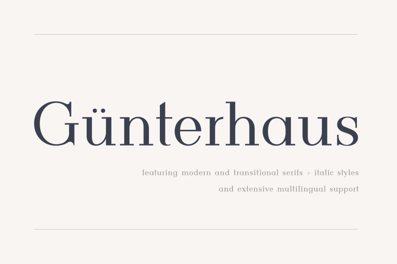 gunterhaus-modern-amp-transitional