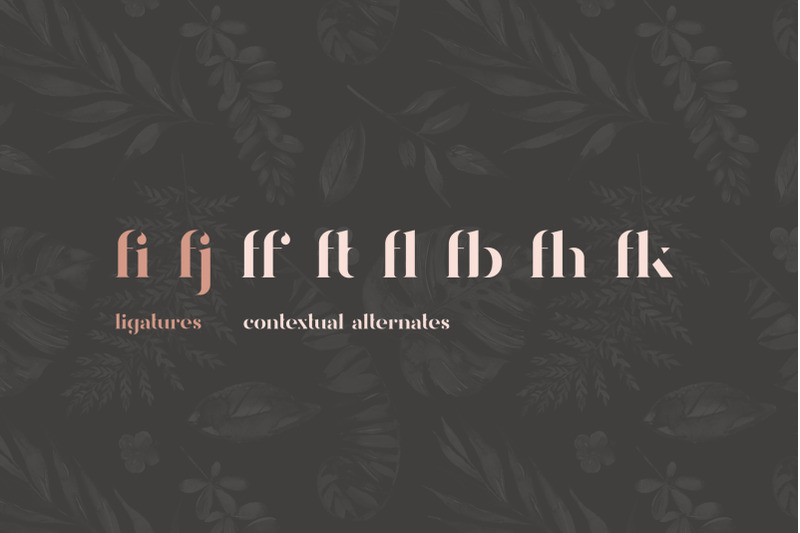 davoa-elegant-stencyl-typeface