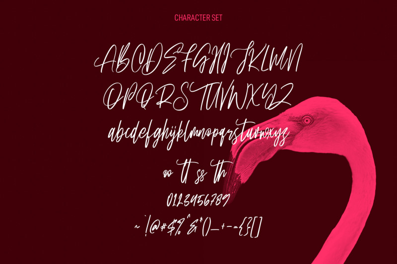 quiney-loves-signature-script-font