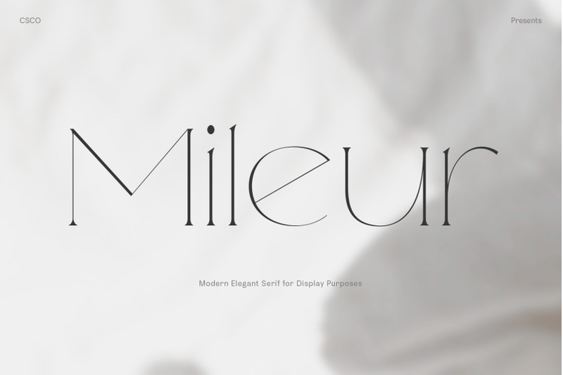 mileur-modern-elegant-serif