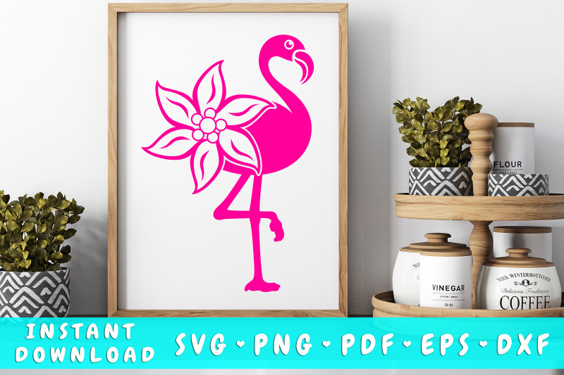 flamingo-edelweiss-svg