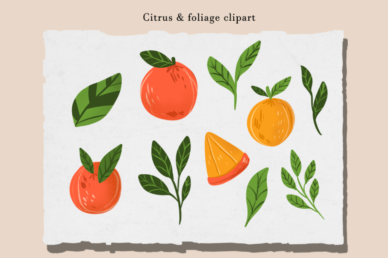 abstract-citrus-clipart-and-organic-shapes