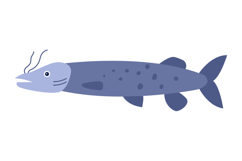 type-of-river-fish-pike-cartoon-element-isolated-on-white