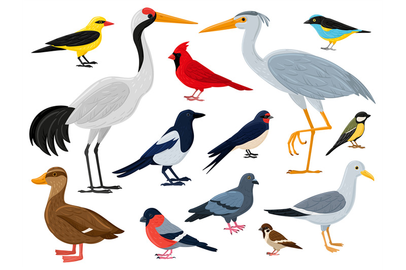 cartoon-flying-birds-crane-red-cardinal-duck-and-seagull-city-wood