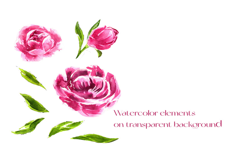 watercolor-pink-peonies-cliparts