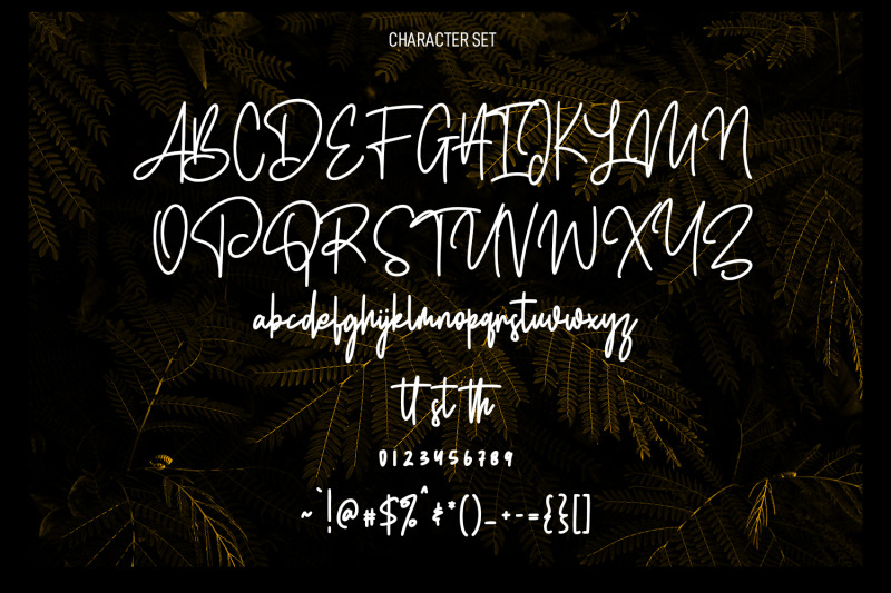 edwardson-signature-script-font