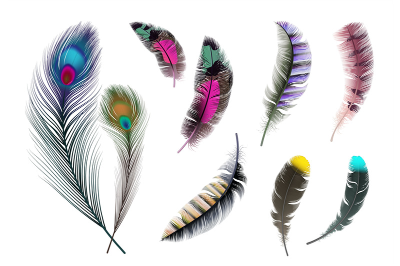 bright-feathers-neon-color-decorative-feather-peacock-accessory-rea