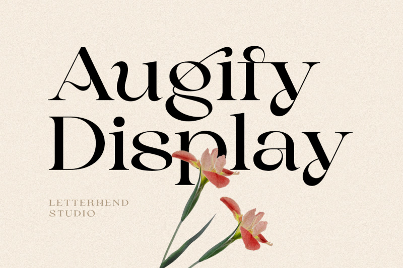 augify-display