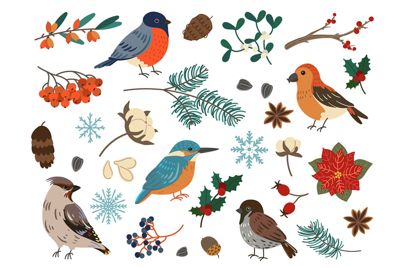 winter-birds-and-botanical-elements-forest-and-city-feathered-charact