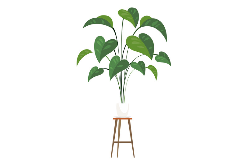 big-leaves-house-plant-potted-home-decoration