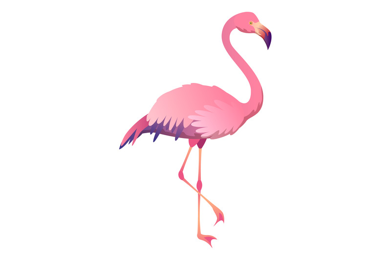 flamingo-icon-pink-tropical-bird-summer-symbol