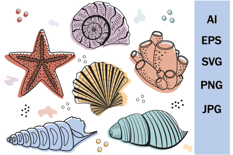 set-of-seashells-svg-format