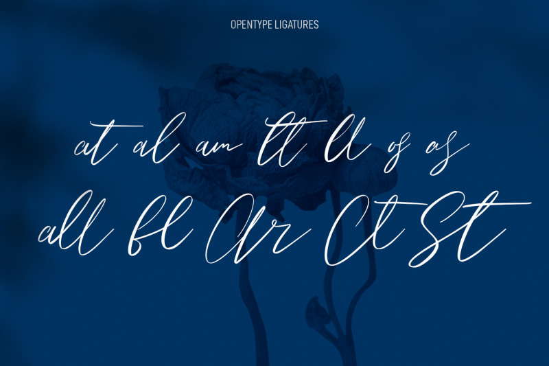 owlishly-signature-script-font