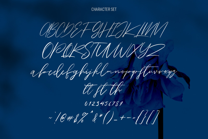 owlishly-signature-script-font