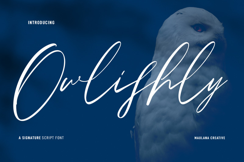 owlishly-signature-script-font