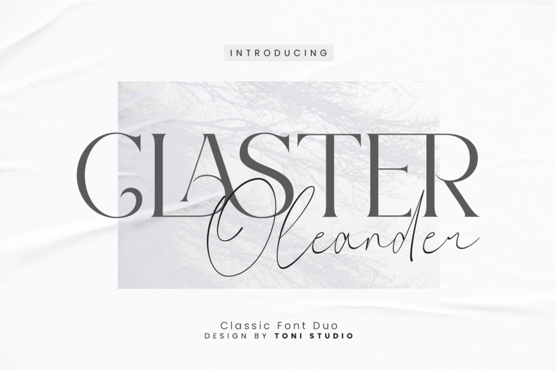 claster-oleander-font-duo