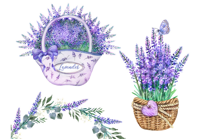 lavender-watercolor-flower-clipart-provence-romantic-clipart