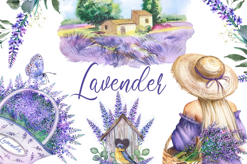 lavender-watercolor-flower-clipart-provence-romantic-clipart
