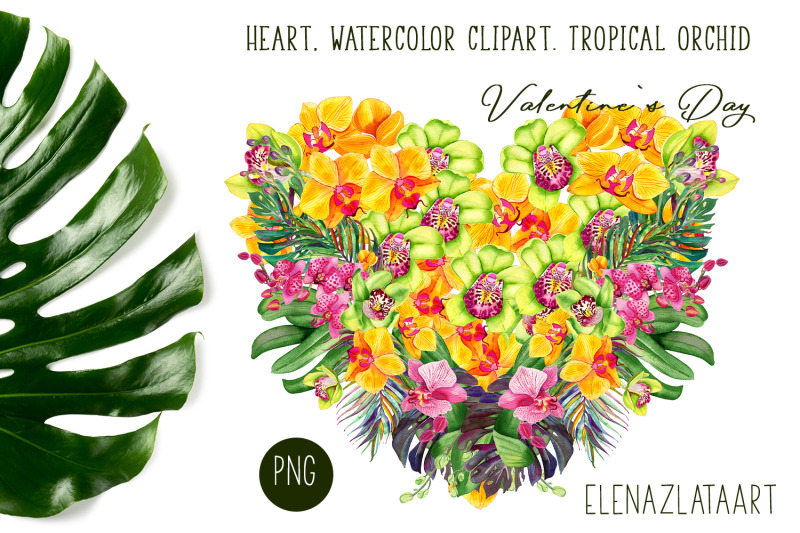 heart-watercolor-clipart-tropical-orchid-valentines-day