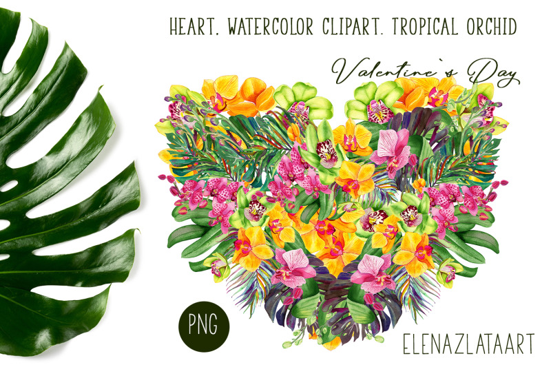 heart-watercolor-clipart-tropical-orchid-valentines-day