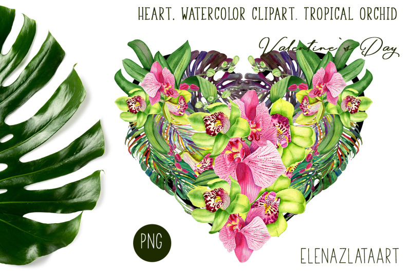 heart-watercolor-clipart-tropical-orchid-valentines-day