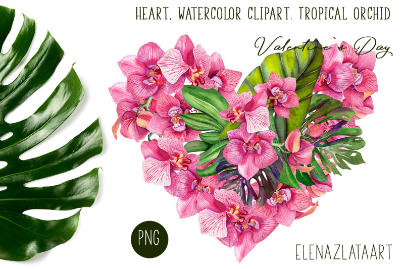 heart-watercolor-clipart-tropical-orchid-valentines-day