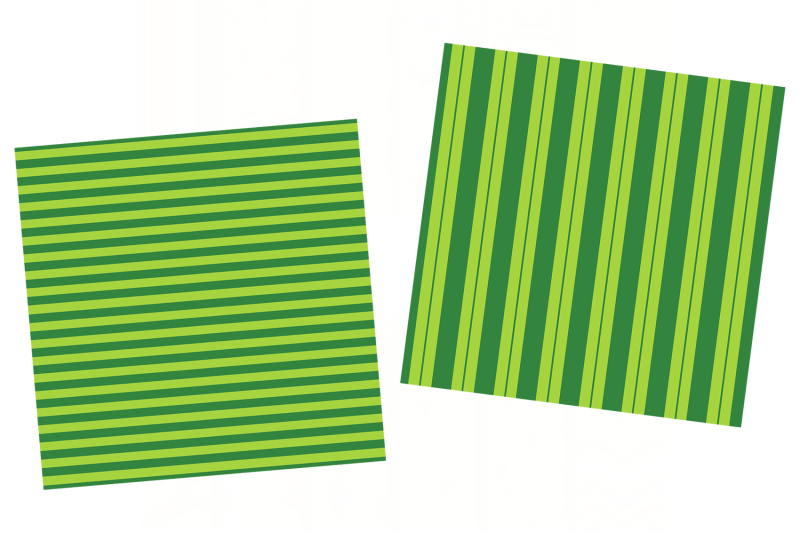 green-pattern-green-leopard-print-green-strips-pattern