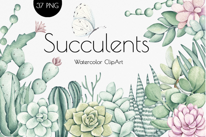 watercolor-clipart-quot-succulents-quot