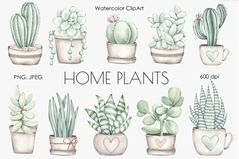 watercolor-set-quot-home-plants-quot