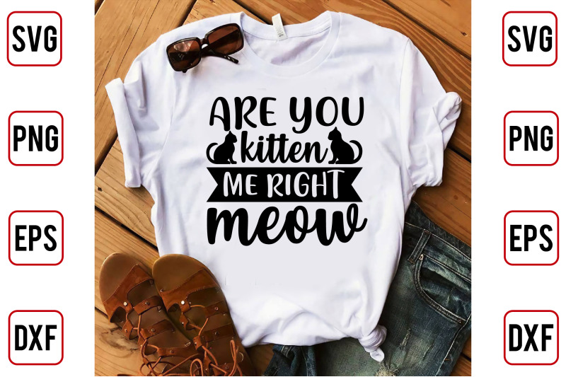 are-you-kitten-me-right-meow