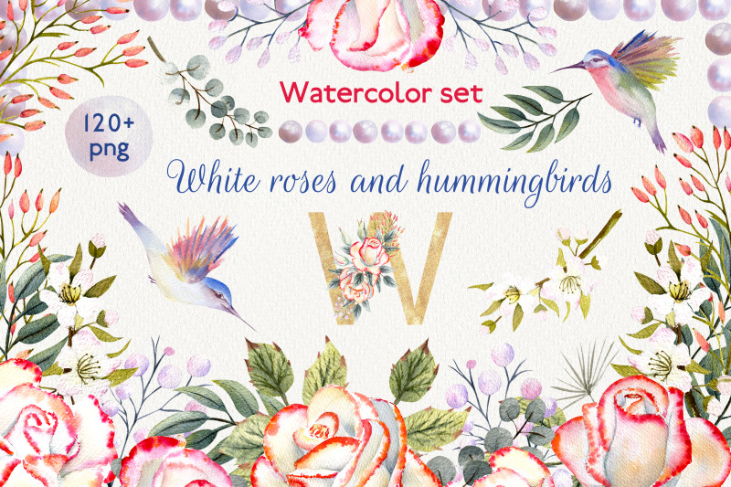 watercolor-set-roses-and-hummingbird